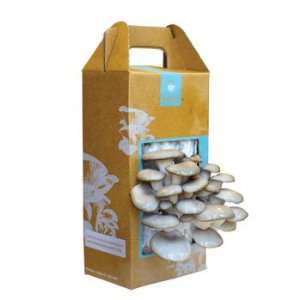 Grow Your Own Mushroom Garden Kit  Industrial & Scientific