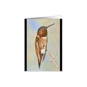  Arizona Male Rufous Hummingbird Card Health & Personal 