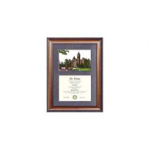  Auburn Tigers Suede Mat Diploma Frame with Lithograph 