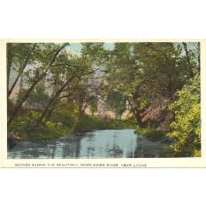   Vintage Postcard   Scene along the Des Plaines River   Lyons Illinois