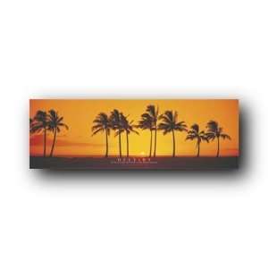  Sunset Poster Destine 11.75X36 Palm Trees Beach Sp0114 