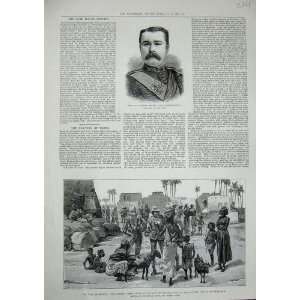  1885 Major Brophy Highlanders Nile Camel Dongola War