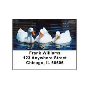  Ducks Address Labels