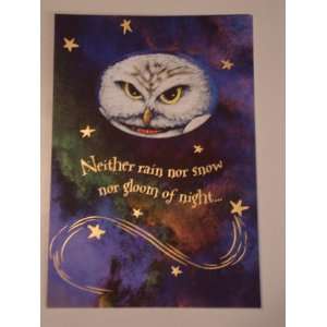   Potter Halloween Fold Out Card with Hedwig