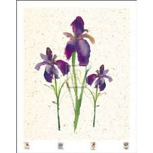  Irises by Jenny Tsang 10x12