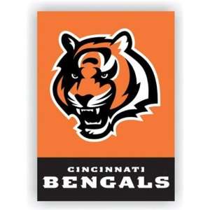   Cincinnati Bengals NFL Banner Flag & Pole Sleeve