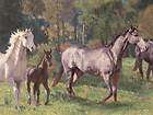 Dramatic Horses & Colts in Green Forest Bn Edge Sale$ Wallpaper 