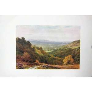   COLOUR PRINT VIEW GIBBET HINDHEAD TREES HILLS COUNTRY