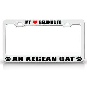 MY HEART BELONGS TO AN AEGEAN Cat Pet Auto License Plate 