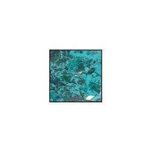  12 PACK MICA TURQUOISE FLAKES Drafting, Engineering, Art 