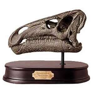 Iguanodon Skull Model 