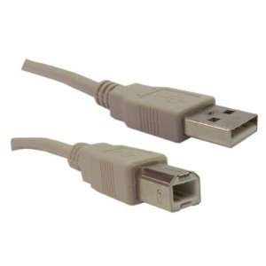  USB Type A Male / Type B Male Cable, 2.0 Version, 10 ft 