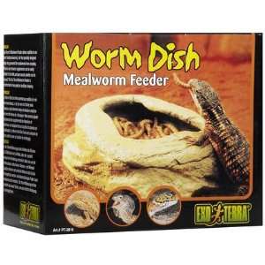  Mealworm Feeder (Quantity of 3)