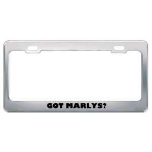  Got Marlys? Girl Name Metal License Plate Frame Holder 