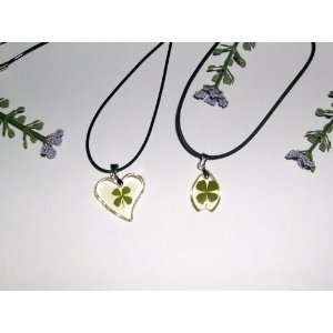  Two Lucky Clover Necklace with Real Four leaf Clover (1517 