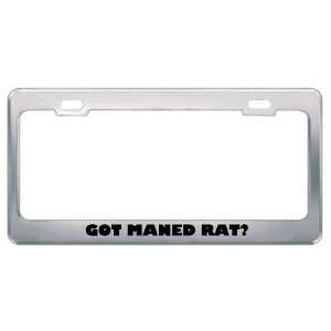 Got Maned Rat? Animals Pets Metal License Plate Frame Holder Border 