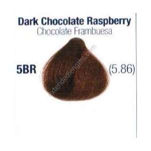 ISO i.Luminate Demi Permanent Hair Color 5BR Dark Chocolate Raspberry