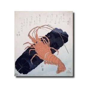  Langoustine With A Block Of Charcoal C1830 Giclee Print 