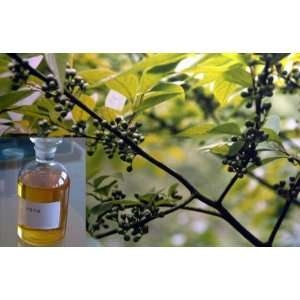 Eucalyptus 100% Pure Essential Oil 100 ml Beauty