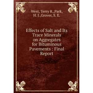  Effects of Salt and Its Trace Minerals on Aggregates for 