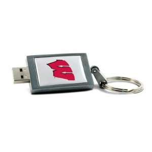  New 2GB U of Wisconsin Keychain   DSK2GBWIS Electronics