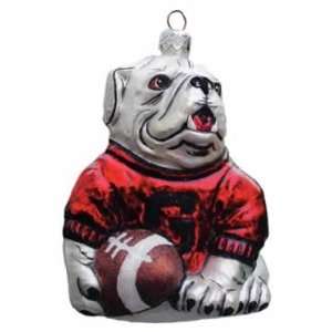    Treasures Georgia Bulldogs UGA with football
