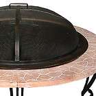 Cast Iron Stone Outdoor Patio Wood Fire Pit / Fireplace
