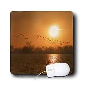   Turner Photography   Geese Fly on Clear Lake   Mouse Pads Electronics