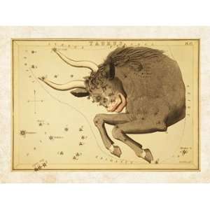  Taurus Zodiac Sign Poster (24.00 x 18.00)