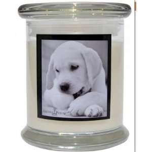  Aroma Paws 308 Breed Candle 12 Oz. Jar   Labrador