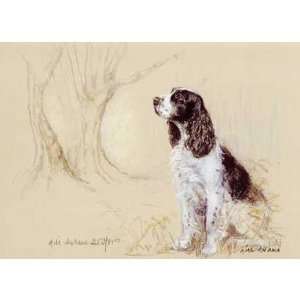  English Springer Spaniel Black and White Mounted Limited 