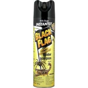  Black Flag Home Invading Spider & Scorpion Killer, 9 Oz 