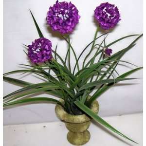  17 Scabioso & Grass Arrangement (Purple)