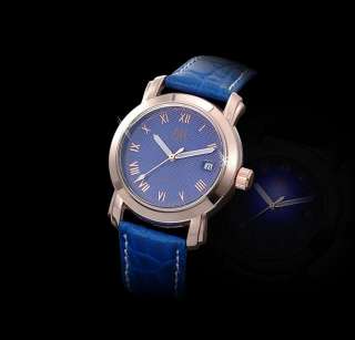 Blue Stainless Steel Golden Case AK Homme date Mens Automatic 