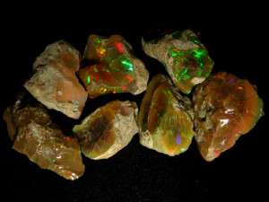 Ethiopian Welo Rough Specimen Opals 235.5 CT EI519  