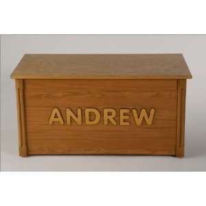  Personalized Oak Wood Toy Box with Raised Letters 