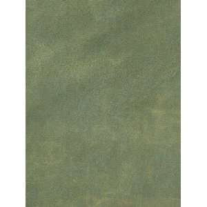   Leather Green and Blue Wallpaper in For Men Only