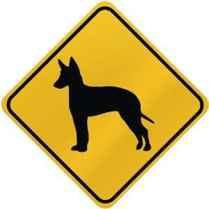    ONLY  MANCHESTER TERRIER  CROSSING SIGN DOG