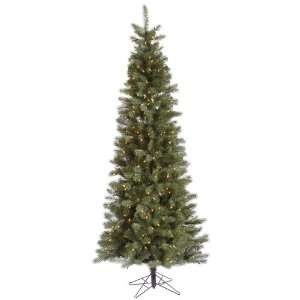   24 Blue Albany Spruce Slim 150 Clear Lights Christmas Tree (A114446