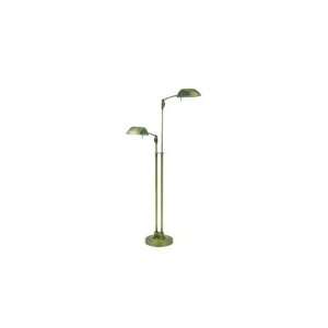  House of Troy V500 2 AB Vision 1 Light Reading Lamp in 