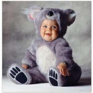 Tom Arma Koala Bear Signature Limited Edition Baby Costume   (Infant 6 