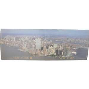   Graphic 17584 42A Lower Manhattan Panoramic Postcard