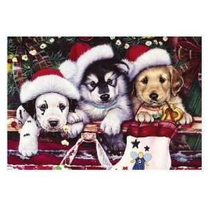  American Humane Association Puppy Christmas Card Health 