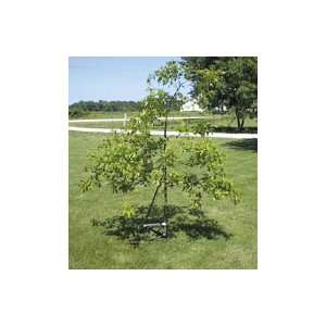  Tree Trainer for Larger Trees Patio, Lawn & Garden