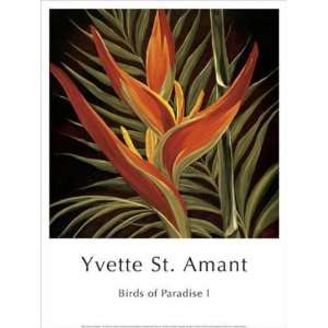  Yvette St. Amant   Birds Of Paradise I Canvas