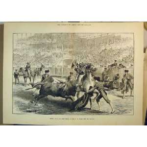  Royal Marriage Festivities Spain 1879 Bull Fight Madrid 