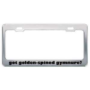 Got Golden Spined Gymnure? Animals Pets Metal License Plate Frame 