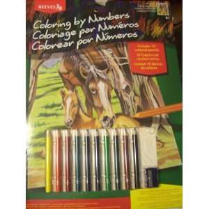    Reeves Large Pencil by Numbers ~ Horse & Foal Toys & Games