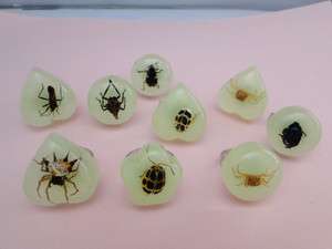 Special Multi Insect Bug Noctilucent Amber Adjusatble Ring JR147 On 