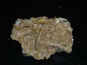 Gypsum Selenite Toffee Brown Shiny Brittle Arizona  